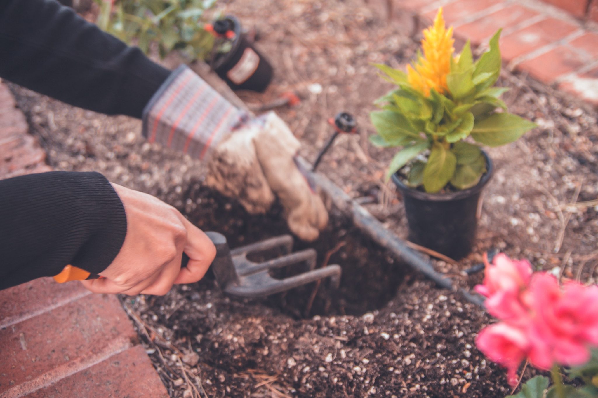 Que Faire Au Jardin En Mars Plantations Entretien Etc