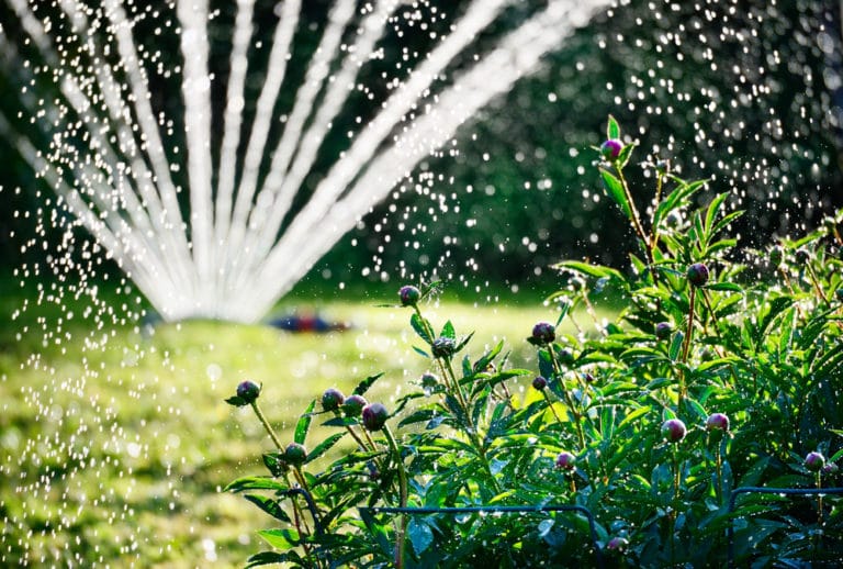 Quel Arrosage Automatique Pour Son Jardin Et Son Potager