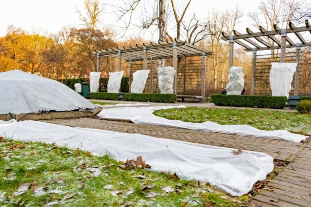 Comment préparer son jardin pour l hiver